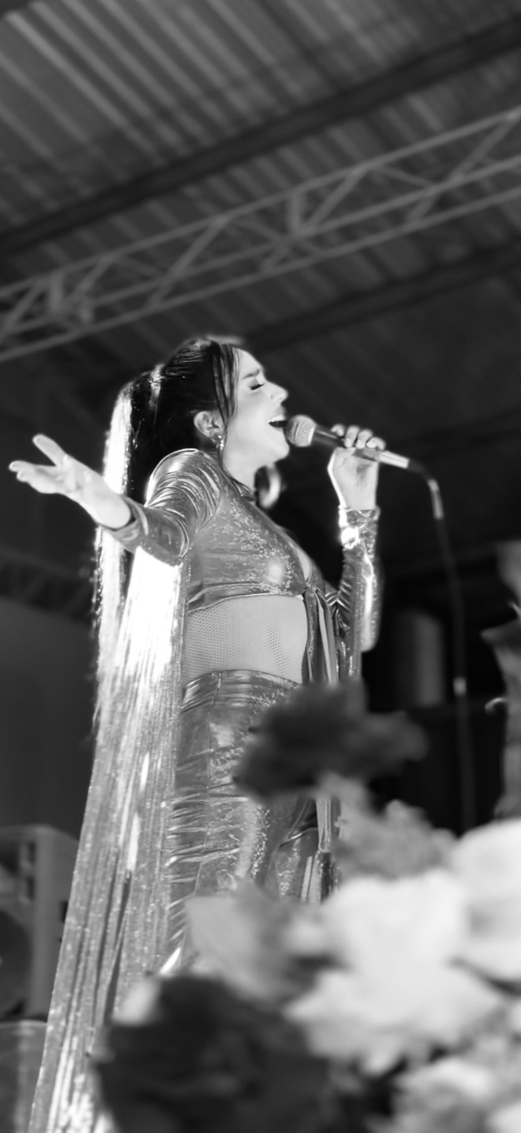 Servicios screenshot